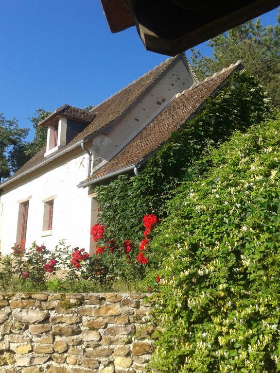 Gite De Serre Le Grand-Pressigny Εξωτερικό φωτογραφία